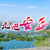 天南地北安丘人